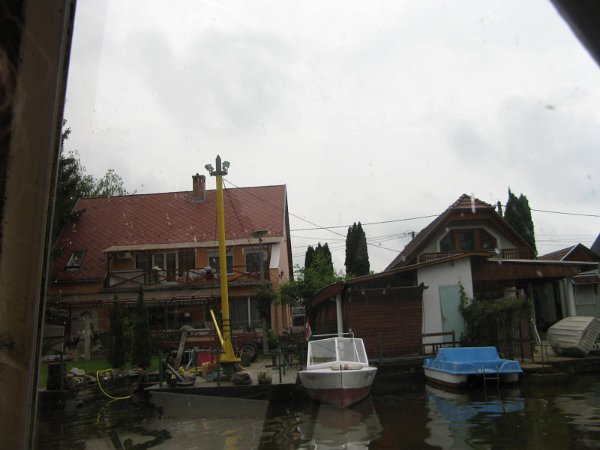 Szarvas 074